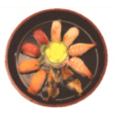 Sushi nigiri variado
